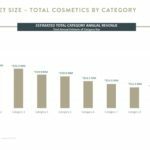 Market-Size-Category Assessment Strategic